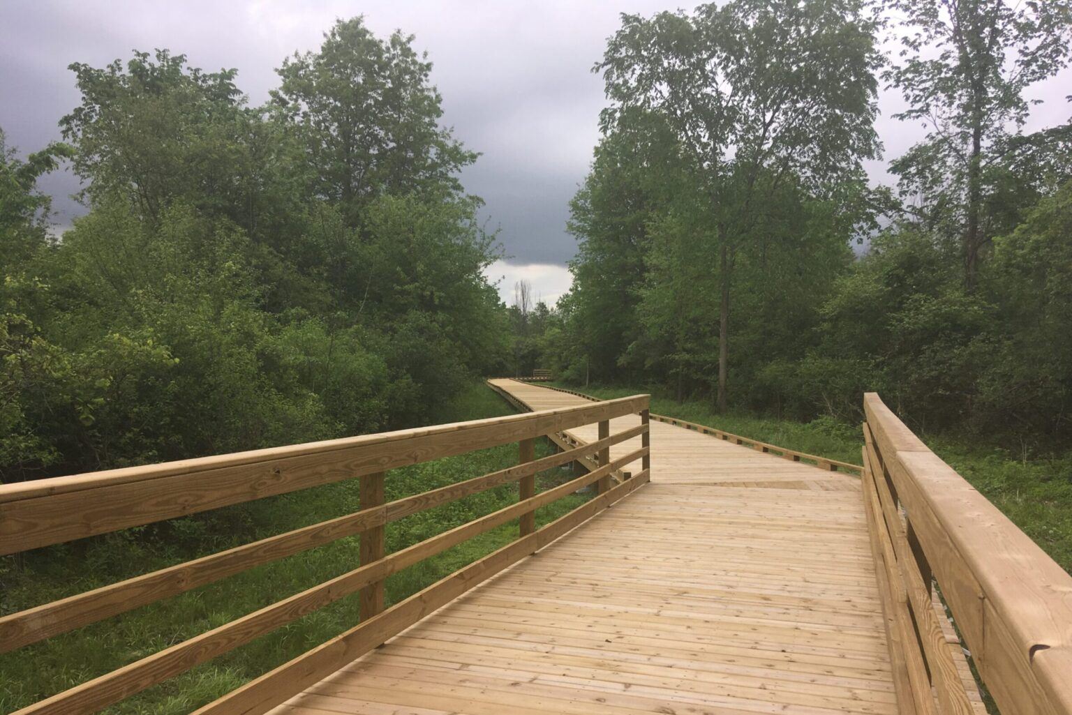 Bridge on the Reservoir Trail