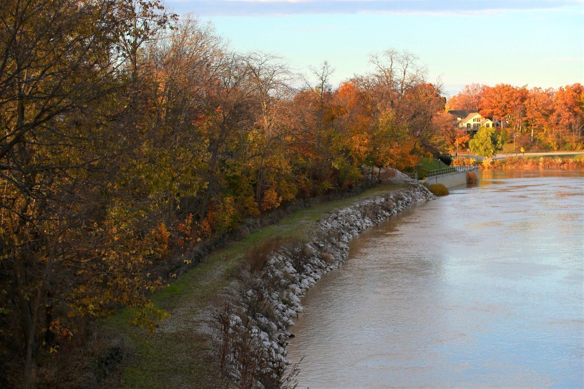 Tree lined riverfront